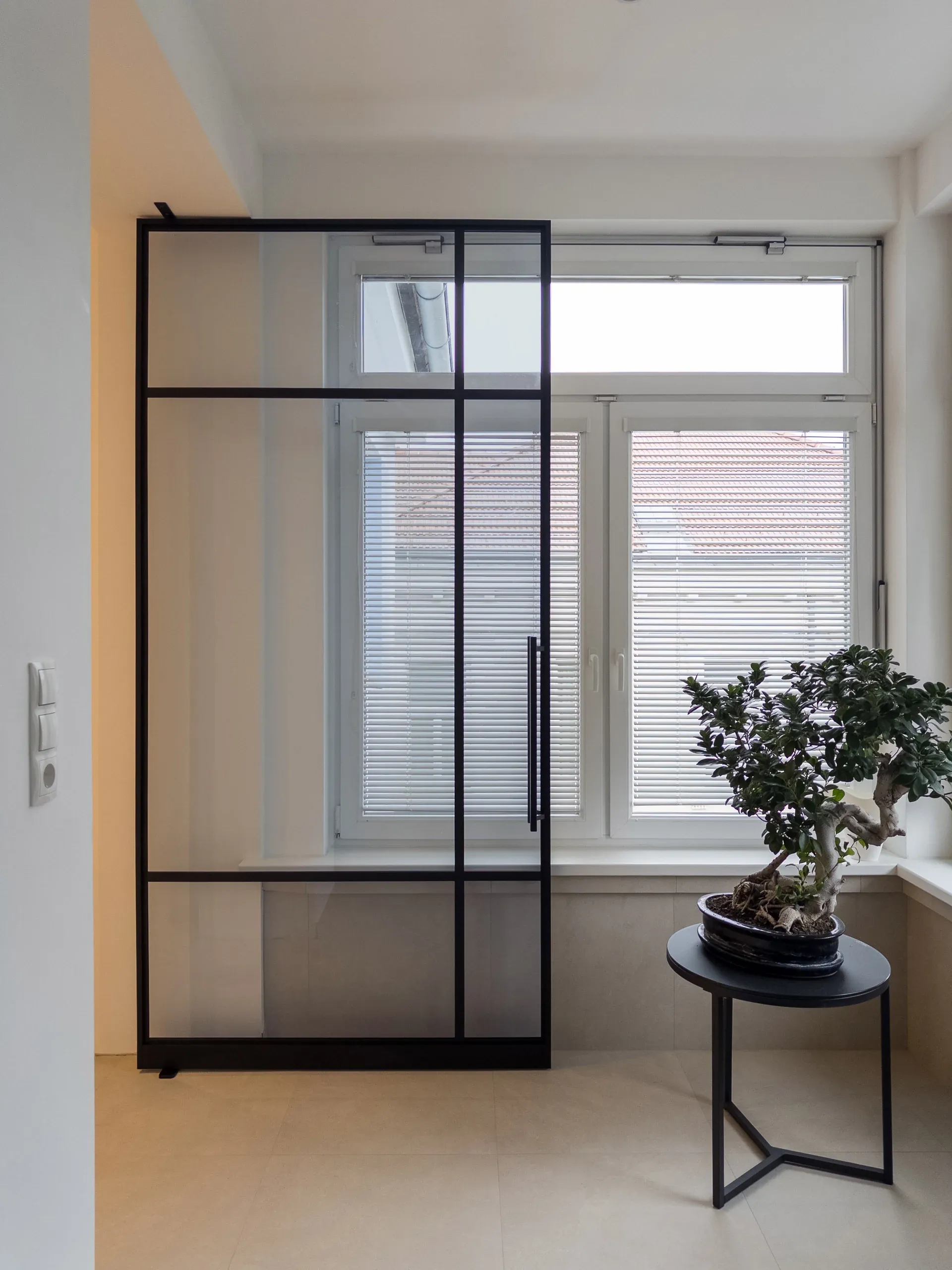 Dieselbe schwarze Pivottür mit Grauglas — transparent mit kühler, grauer Tönung.